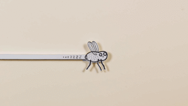 Animation einer Fliege aus Papier, die an einem Stab bewegt werden kann